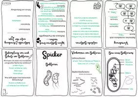 Vorschau - Arbeitsblätter - Spicker/Minibuch Bakterien - Seite 2
