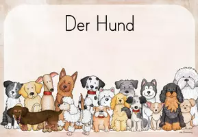 Vorschau - Unterrichtsreihen - Hunde: Informationskarten / Lerntheke (2./3.Kl.) - Seite 1