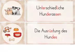 Vorschau - Unterrichtsreihen - Hunde: Reihentransparenz (2./3.Kl.) - Seite 3