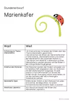 Vorschau - Stundenentwürfe - Komplettpaket Marienkäfer 1./2. Klasse (2-fach differenziert) - Seite 1