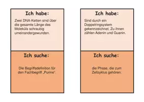 Vorschau - Spiele - Ich habe, wer hat Genetik Fachbegriffe Bio Sek II - Seite 3