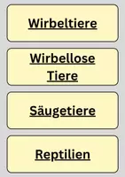 Vorschau - Präsentationen/Tafelbilder - Tafelkarten Wirbeltiere und Wirbellose Tiere - Seite 1