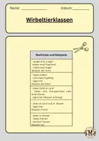 Vorschau - Arbeitsblätter - Wirbeltier Klassen - Seite 2