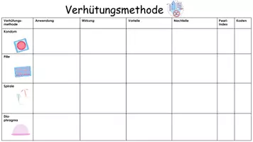 Vorschau - Anderer Materialtyp - Gruppenpuzzle Verhütungsmethoden - Seite 1