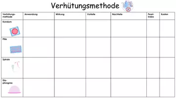 Vorschau - Anderer Materialtyp - Gruppenpuzzle Verhütungsmethoden - Seite 3