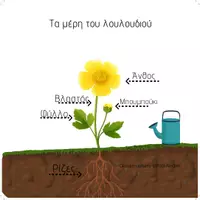 Προεπισκόπηση - Φύλλα εργασίας - Τα μέρη του Λουλουδιού (Εποπτικό Υλικό &Φύλλα Εργασίας) - Εξώφυλλο