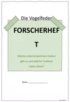 Vorschau - Stundenentwürfe - Die Vogelfeder (60-90 Min., Lehrprobe BW, Stationsarbeit) - Seite 3