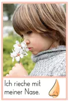 Vorschau - Präsentationen/Tafelbilder - Die fünf Sinne - Bildkarten mit Beispielen - Seite 3