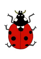 Vorschau - Mal- und Bastelvorlagen - Marienkäfer-Grafikpaket - Tafelbilder zum Thema - Deckblatt