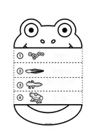 Vista previa - Hojas de trabajo - FROG METAMORPHOSIS FLIPBOOK - página 2