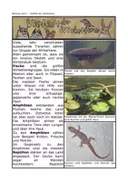 Vorschau - Arbeitsblätter - Wirbeltiere - Sprachsensibles Material - Deckblatt