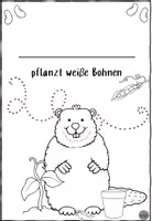 Vorschau - Unterrichtsreihen - Bohnentagebuch passend zu "Kasimir pflanzt weiße Bohnen" - Seite 1