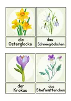 Vorschau - Bildkarten - Bild- und Wortkarten zum Thema "Frühling" - Seite 3