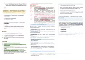 Vista previa - Para docentes: organización, planificación y formación - Oposiciones Pedagogía Terapéutica: esquema tema 6 - página 1