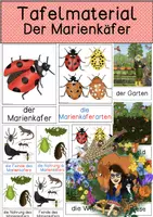Vorschau - Präsentationen/Tafelbilder - Tafelmaterial - Marienkäfer - Deckblatt