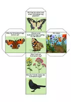 Vorschau - Mal- und Bastelvorlagen - Erzählwürfel - Schmetterling - Deckblatt