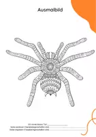 Vorschau - Arbeitsblätter - 23 Mandalas WILDE TIERE / TIERE AUS AFRIKA ab 1.Kl - Seite 3