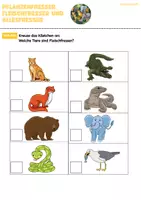 Vorschau - Arbeitsblätter - Pflanzenfresser, Fleischfresser und Allesfresser bestimmen (PDF + Word) - Seite 2