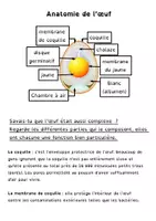 Aperçu - Feuilles d'exercices - Cycle de poule, développement du poussin dans l'œuf - Page 3