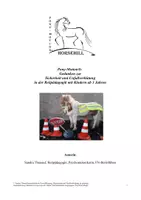 Vorschau - Merkblätter - Materialpaket Kinderschutz u. Unfallverhütung Reitpädagogik - Seite 1