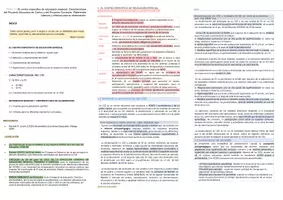 Vista previa - Para docentes: organización, planificación y formación - Oposiciones Pedagogía Terapéutica: Esquema tema 5 - página 1