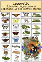 Vorschau - Mal- und Bastelvorlagen - Leporellos - Schmetterlinge - Deckblatt