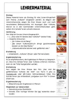 Vorschau - Stundenentwürfe - Vulkane (Materialpaket) - Seite 2