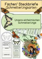 Vorschau - Arbeitsblätter - Fächer und Steckbriefe - Schmetterlinge - Deckblatt