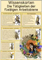 Vorschau - Text - Differenzierte Wissenskarten - Aufgaben der Arbeitsbiene - Deckblatt