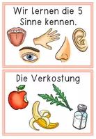 Vorschau - Unterrichtsreihen - Reihentransparenz - Die 5 Sinne - Aufbau der Unterrichtseinheit - Seite 3