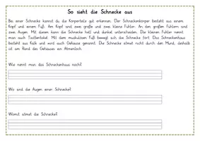 Vorschau - Mal- und Bastelvorlagen - Materialpaket sonderpädagogische Förderung Konzentration und Wahrnehmung - Seite 3