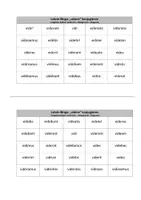 Vorschau - Interaktives Material - Latein-Bingo: "videre" konjugieren (im Aktiv) - Seite 3