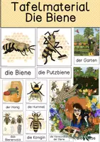 Vorschau - Präsentationen/Tafelbilder - Tafelmaterial - Biene - Deckblatt