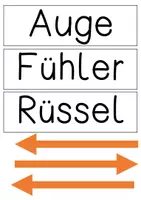 Vorschau - Präsentationen/Tafelbilder - Materialpaket - Tafelmaterial Biene - Seite 3