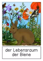 Vorschau - Präsentationen/Tafelbilder - Tafelmaterial - Biene - Seite 2