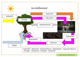 Vorschau - Stundenentwürfe - Der Stoffkreislauf (ganze Stunde) - Seite 1