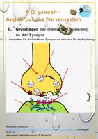 Vorschau - Unterrichtsreihen - Neurobiologie: "Lass´ dich nicht K.O. tropfen!" - Seite 2