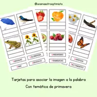 Vista previa - Refuerzo / NEE / Materiales de apoyo - Tarjetas de lectoescritura con temática de primavera - Portada