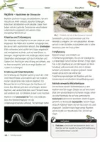 Vorschau - Arbeitsblätter - Reptilien - Nachfahren der Dinosaurier / Angepasstheit und Vielfalt - Seite 1