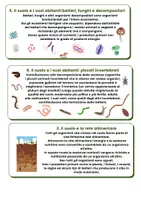 anteprima - Altro tipo di materiale - Il suolo-un mondo sommerso - Pagina 3