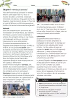 Vorschau - Arbeitsblätter - Säugetiere - Merkmale und Lebensweise / Angepasstheit und Vielfalt - Seite 1