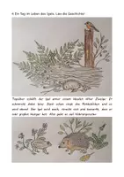 Vorschau - Arbeitsblätter - Vielfalt der Wirbeltiere - Säugetiere - Seite 3