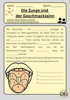 Vorschau - Arbeitsblätter - Die Zunge und der Geschmackssinn - Seite 1