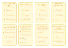 Vorschau - Spiele - "Sag das nicht"-Spiel (Neurologie) - Seite 2