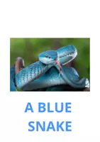 Vista previa - Refuerzo / NEE / Materiales de apoyo - Blue - página 3