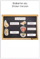 Vorschau - Mal- und Bastelvorlagen - Bildkarten - Unsere 5 Sinne - Sticker- Version - Seite 1