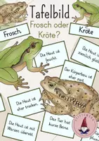 Vorschau - Stundenentwürfe - Tafelbild: Frosch oder Kröte? - Deckblatt