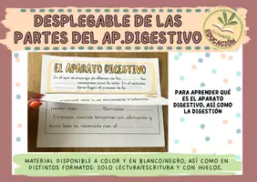 Vista previa - Juegos / Gamificación - APARATO DIGESTIVO - página 1