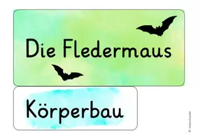 Vorschau - Poster - Fledermaus – Tafelmaterial & Poster | Sachunterricht Grundschule Klasse 3–4 - Seite 2