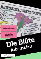 Vorschau - Arbeitsblätter - Der Aufbau der Blüte - Arbeitsblatt - Begriffe zuordnen - Deckblatt